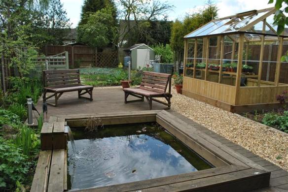 The pond and the veg plot